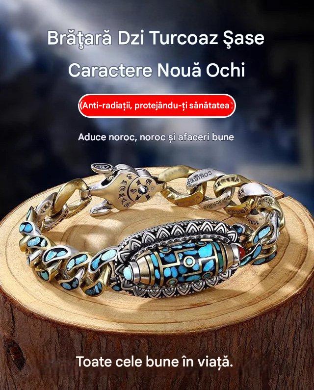 ✨️【Cumpărați 1, primiți 1 gratuit】💝 Brățară din argint 925, retro, cu șase cifre, turcoaz, cu mărgele de transfer Mantra