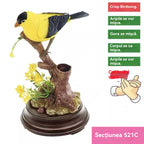 🦜🐦【Cumpără 1 primești 1 gratis】Simulare controlată vocal, ornamente creative drăguțe cu păsări controlate vocal, ornamente decorative pentru biroul camerei