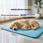 🧊⚡ Reduceri de vară! Covoraș răcoritor pentru animale de companie (fără apă) – Material Oxford respirabil, potrivit pentru orice culcuș sau cușcă.